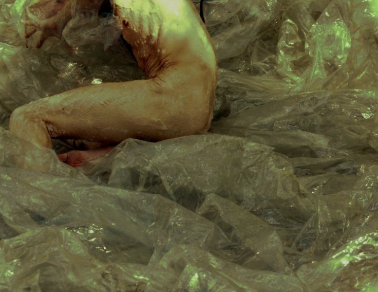 DNA-de-Dan_Foto-Lauro-Borges-1[1]