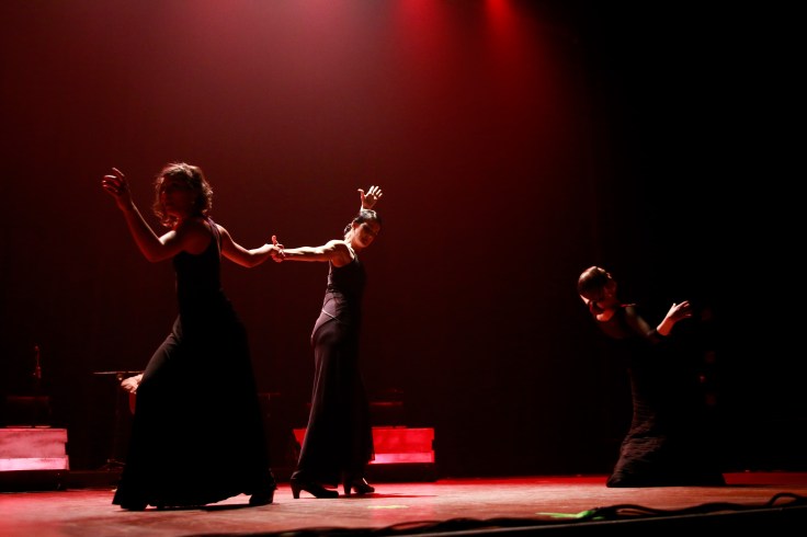 Ainda que seja noite - Foto ZCK Fotos